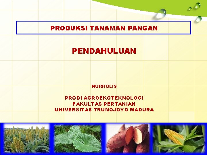 PRODUKSI TANAMAN PANGAN PENDAHULUAN NURHOLIS PRODI AGROEKOTEKNOLOGI FAKULTAS PERTANIAN UNIVERSITAS TRUNOJOYO MADURA 