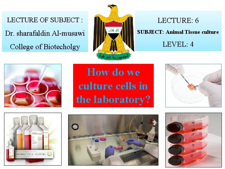 LECTURE OF SUBJECT : LECTURE: 6 Dr. sharafaldin Al-musawi SUBJECT: Animal Tissue culture College