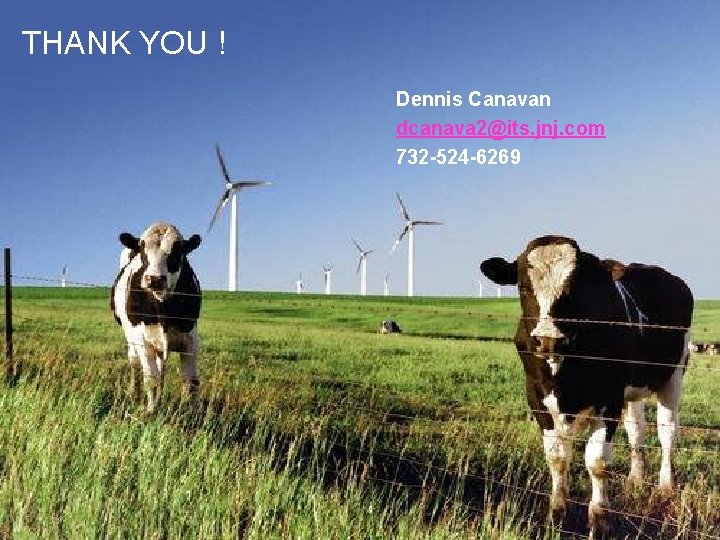 THANK YOU ! Dennis Canavan dcanava 2@its. jnj. com 732 -524 -6269 THANK YOU ! Dennis Canavan dcanava 2@its. jnj. com 732 -524 -6269