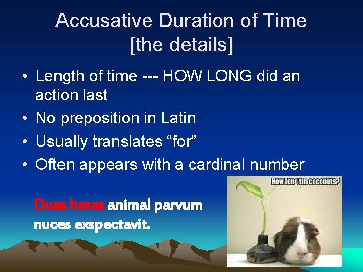 Accusative Duration of Time [the details] • Length of time --- HOW LONG did