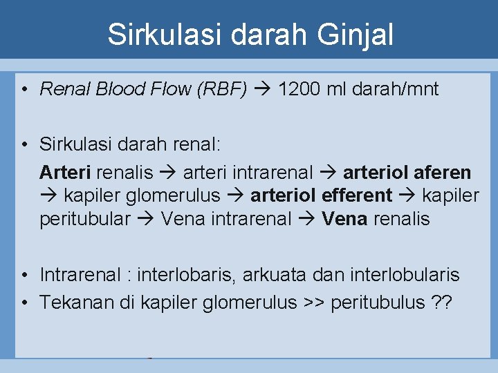 Sirkulasi darah Ginjal • Renal Blood Flow (RBF) 1200 ml darah/mnt • Sirkulasi darah