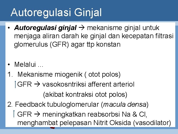 Autoregulasi Ginjal • Autoregulasi ginjal mekanisme ginjal untuk menjaga aliran darah ke ginjal dan