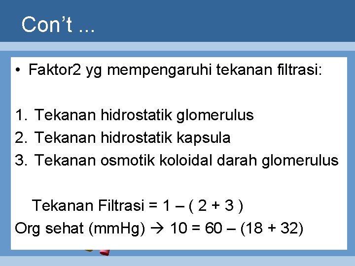 Con’t. . . • Faktor 2 yg mempengaruhi tekanan filtrasi: 1. Tekanan hidrostatik glomerulus