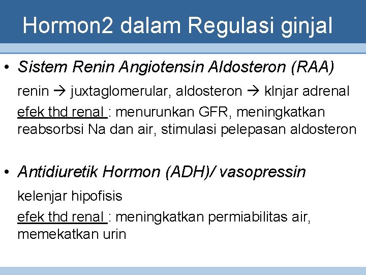 Hormon 2 dalam Regulasi ginjal • Sistem Renin Angiotensin Aldosteron (RAA) renin juxtaglomerular, aldosteron