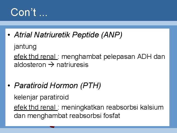 Con’t. . . • Atrial Natriuretik Peptide (ANP) jantung efek thd renal : menghambat