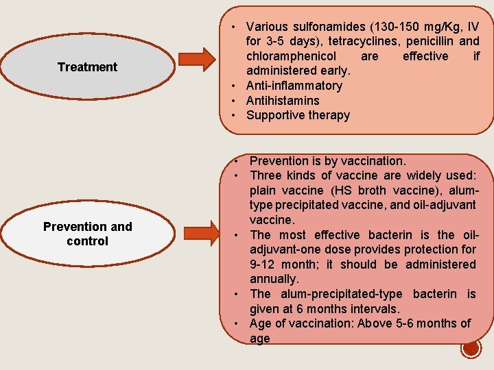 Treatment Prevention and control • Various sulfonamides (130 -150 mg/Kg, IV for 3 -5