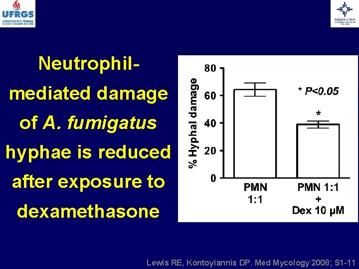 Neutrophilmediated damage of A. fumigatus hyphae is reduced after exposure to dexamethasone Lewis RE,