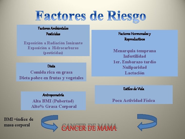 Factores Ambientales Pesticidas Exposición a Radiación Ionizante Exposición a Hidrocarburos (pesticidas) Dieta Comida rica