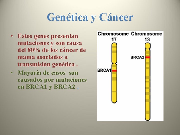 Genética y Cáncer • Estos genes presentan mutaciones y son causa del 80% de