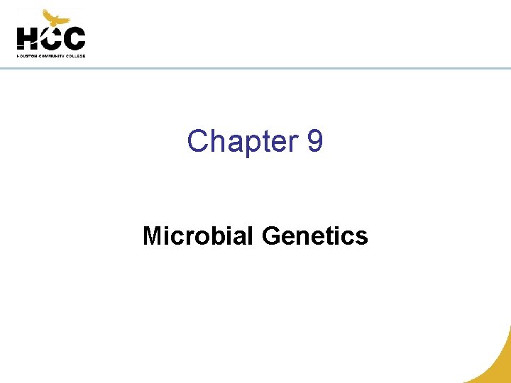 Chapter 9 Microbial Genetics 
