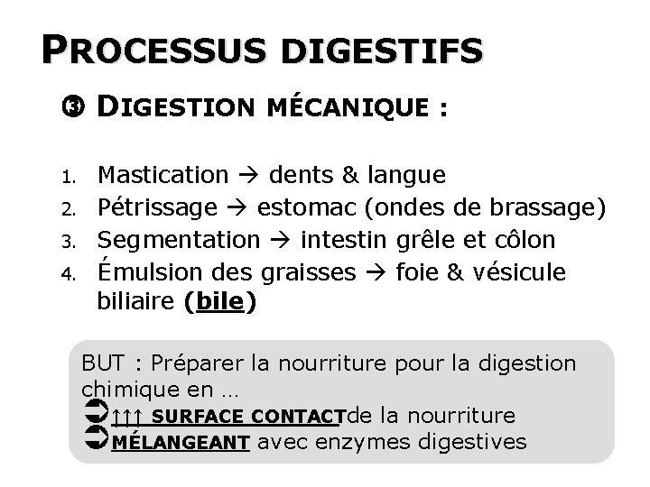 PROCESSUS DIGESTIFS DIGESTION MÉCANIQUE : 1. 2. 3. 4. Mastication dents & langue Pétrissage
