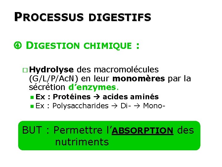 PROCESSUS DIGESTIFS DIGESTION CHIMIQUE : � Hydrolyse des macromolécules (G/L/P/Ac. N) en leur monomères