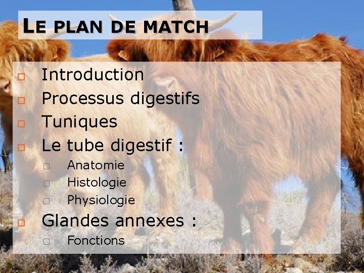 LE PLAN DE MATCH Introduction Processus digestifs Tuniques Le tube digestif : � �