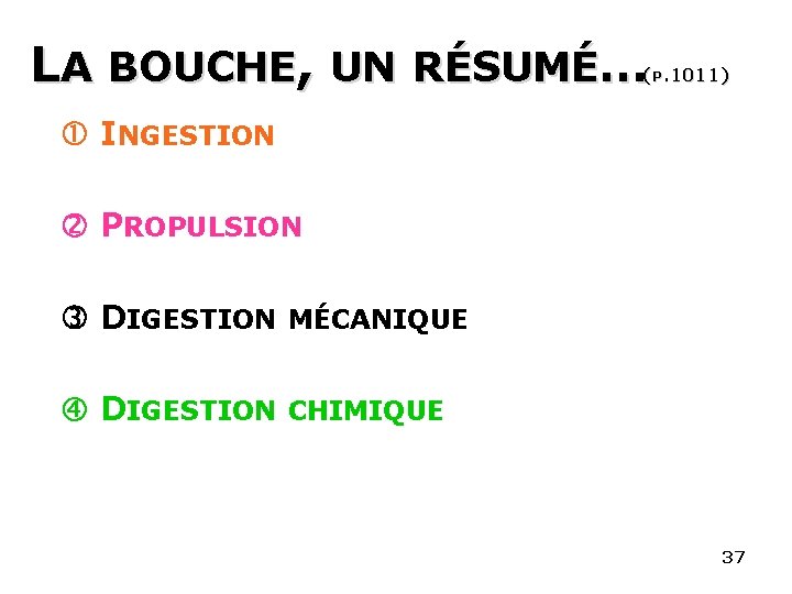 LA BOUCHE, UN RÉSUMÉ… (P. 1011) INGESTION PROPULSION DIGESTION MÉCANIQUE DIGESTION CHIMIQUE 37 