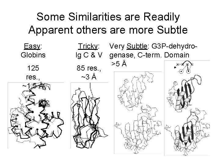 Some Similarities are Readily Apparent others are more Subtle Easy: Globins 125 res. ,