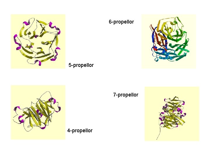 6 -propellor 5 -propellor 7 -propellor 4 -propellor 