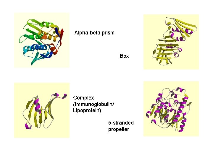 Alpha-beta prism Box Complex (Immunoglobulin/ Lipoprotein) 5 -stranded propeller 