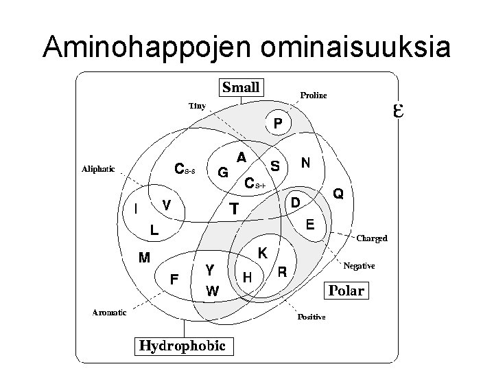 Aminohappojen ominaisuuksia 