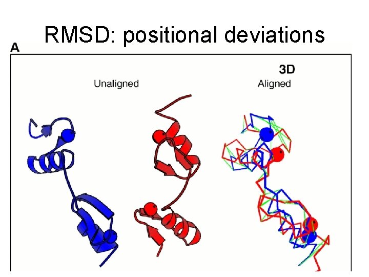 RMSD: positional deviations 