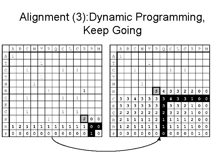 Alignment (3): Dynamic Programming, Keep Going 