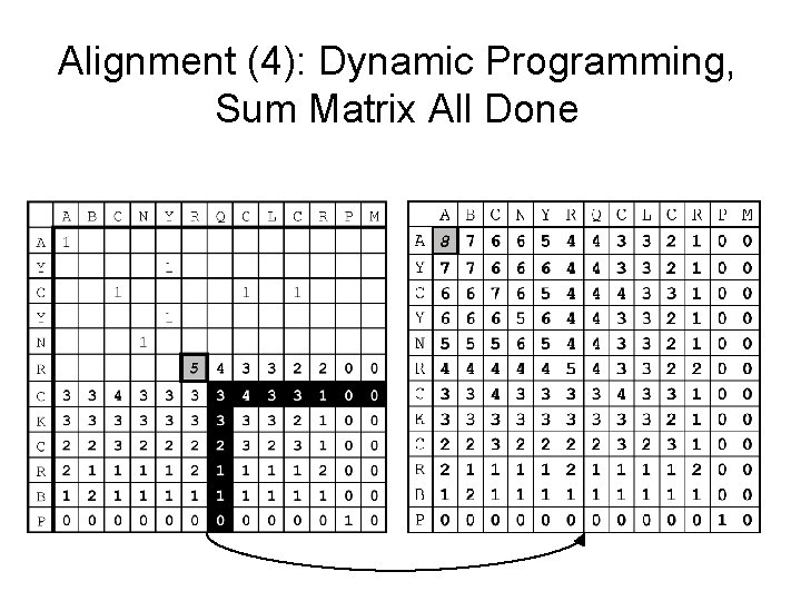 Alignment (4): Dynamic Programming, Sum Matrix All Done 