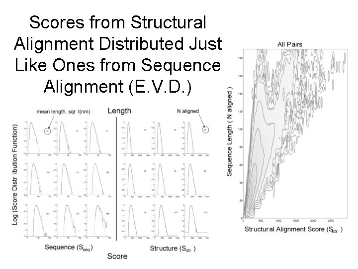 Scores from Structural Alignment Distributed Just Like Ones from Sequence Alignment (E. V. D.