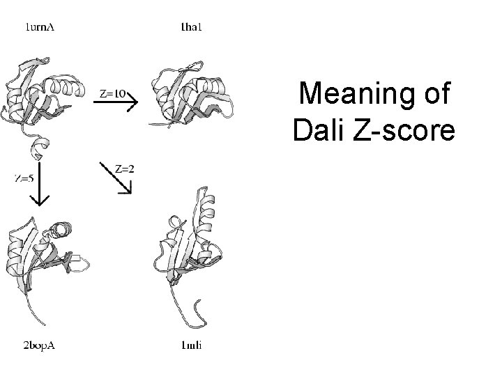 Meaning of Dali Z-score 