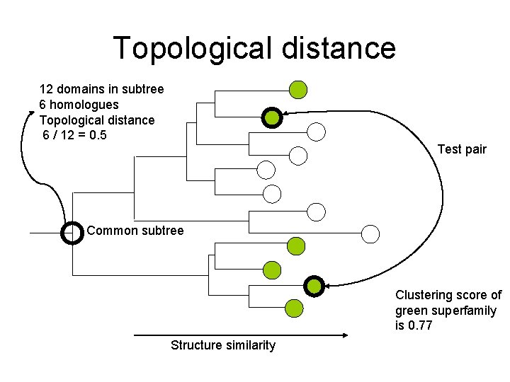 Topological distance 12 domains in subtree 6 homologues Topological distance 6 / 12 =