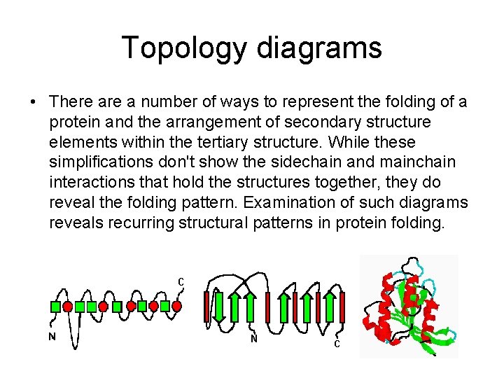 Topology diagrams • There a number of ways to represent the folding of a