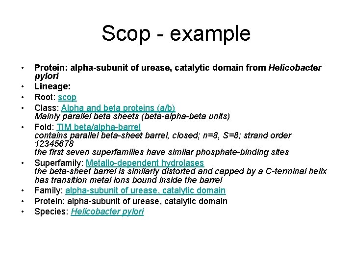 Scop - example • • • Protein: alpha-subunit of urease, catalytic domain from Helicobacter