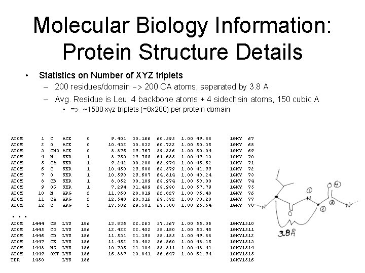 Molecular Biology Information: Protein Structure Details • Statistics on Number of XYZ triplets –