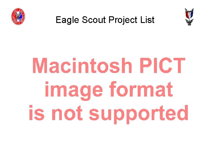 Eagle Scout Project List 