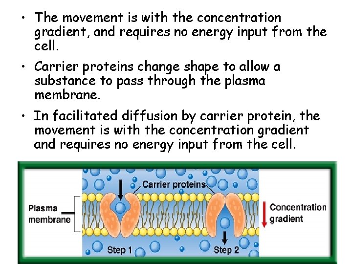  • The movement is with the concentration gradient, and requires no energy input