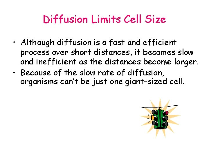 Diffusion Limits Cell Size • Although diffusion is a fast and efficient process over