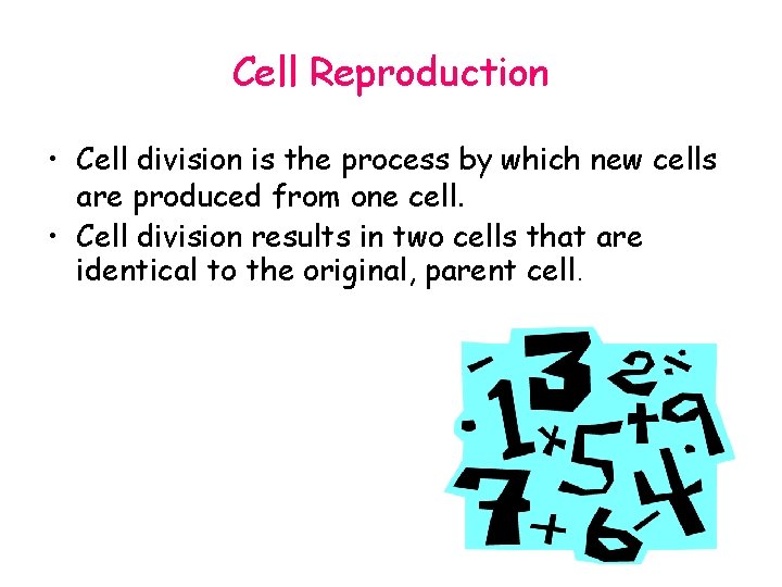 Cell Reproduction • Cell division is the process by which new cells are produced