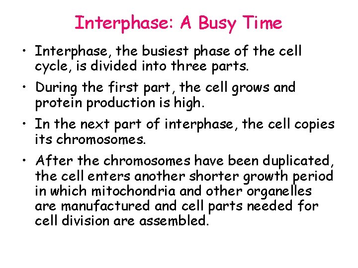 Interphase: A Busy Time • Interphase, the busiest phase of the cell cycle, is