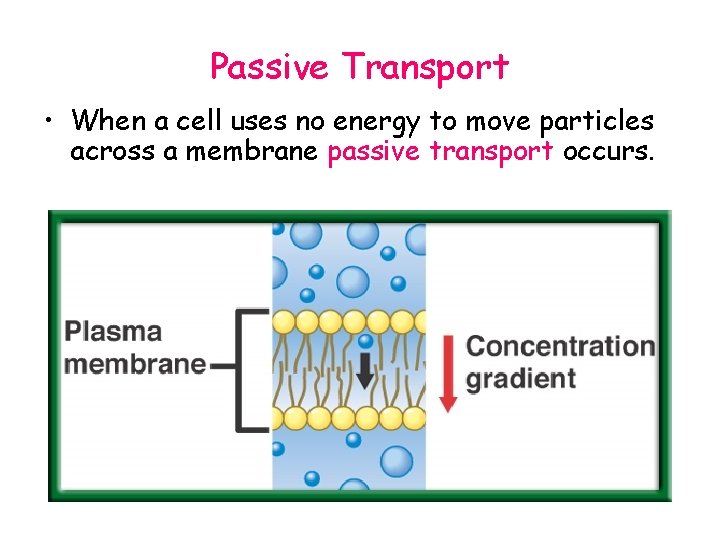 Passive Transport • When a cell uses no energy to move particles across a