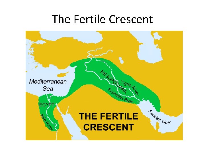 The Fertile Crescent 