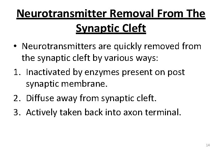 Neurotransmitter Removal From The Synaptic Cleft • Neurotransmitters are quickly removed from the synaptic