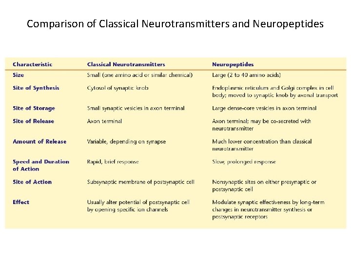 Comparison of Classical Neurotransmitters and Neuropeptides Comparison of Classical Neurotransmitters and Neuropeptides