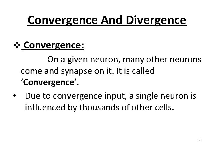 Convergence And Divergence v Convergence: On a given neuron, many other neurons come and
