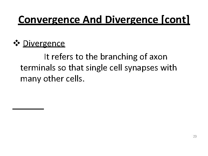 Convergence And Divergence [cont] v Divergence It refers to the branching of axon terminals