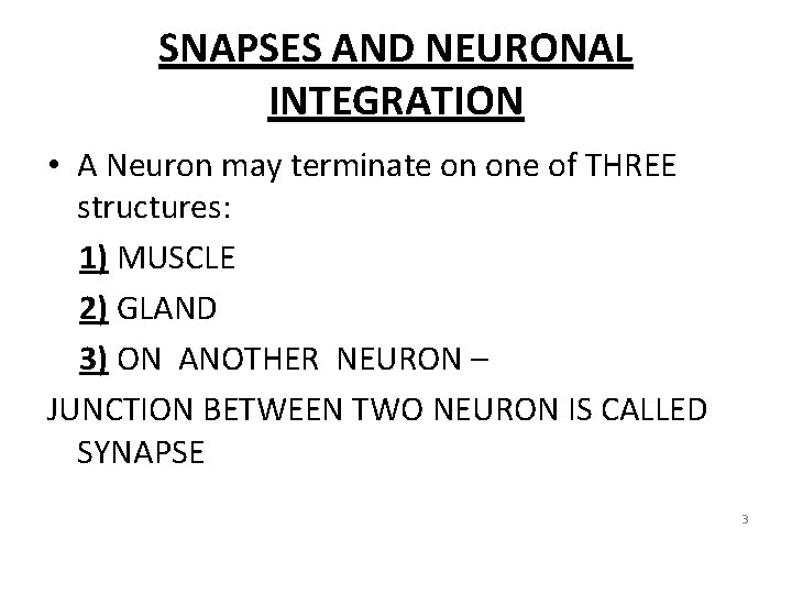 SNAPSES AND NEURONAL INTEGRATION • A Neuron may terminate on one of THREE structures: