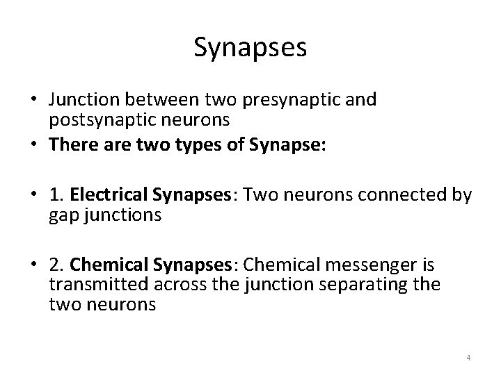 Synapses • Junction between two presynaptic and postsynaptic neurons • There are two types