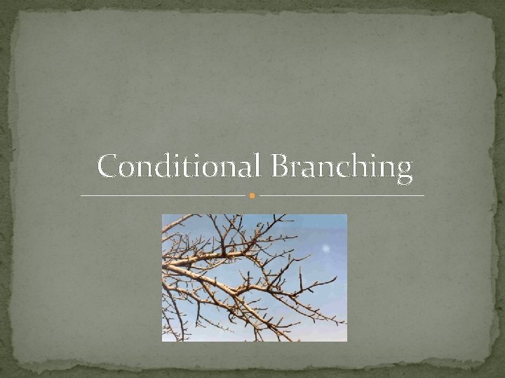 Conditional Branching 