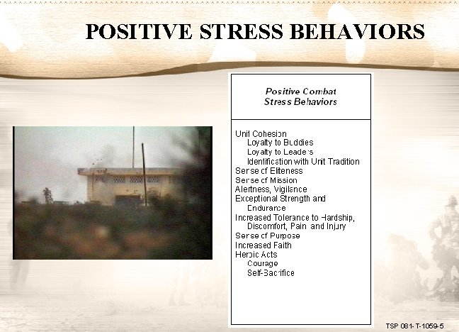 POSITIVE STRESS BEHAVIORS TSP 081 -T-1059 -5 