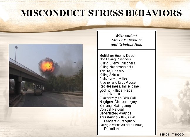 MISCONDUCT STRESS BEHAVIORS TSP 081 -T-1059 -6 