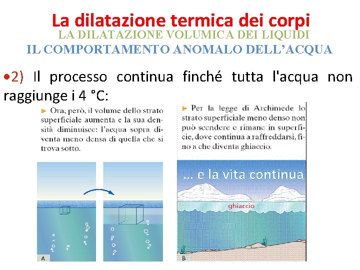 La dilatazione termica dei corpi LA DILATAZIONE VOLUMICA DEI LIQUIDI IL COMPORTAMENTO ANOMALO DELL’ACQUA