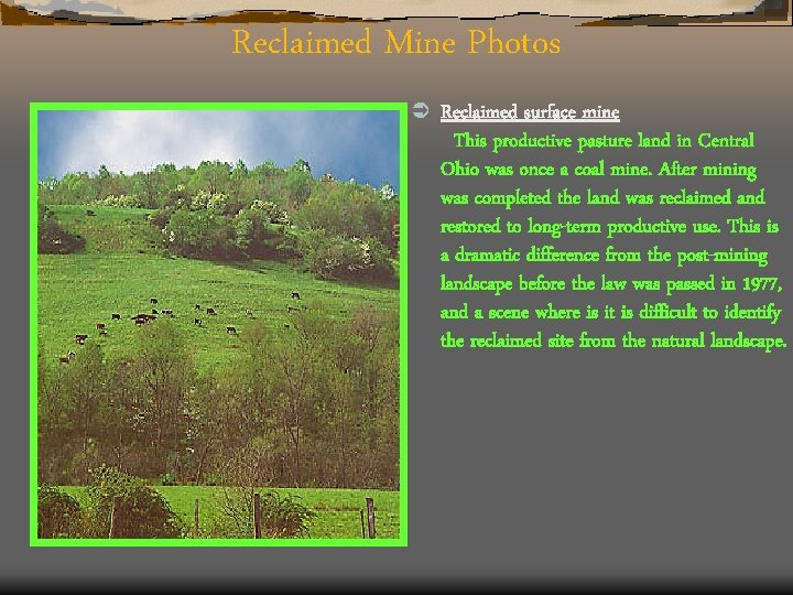 Reclaimed Mine Photos Ü Reclaimed surface mine This productive pasture land in Central Ohio