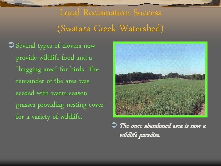 Local Reclamation Success (Swatara Creek Watershed) Ü Several types of clovers now provide wildlife